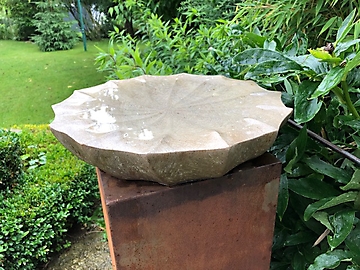 Vogeltränke_1