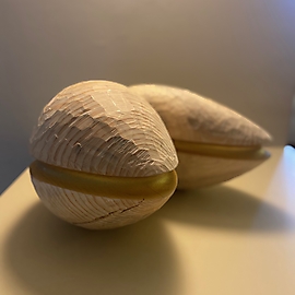 Doppelfrucht